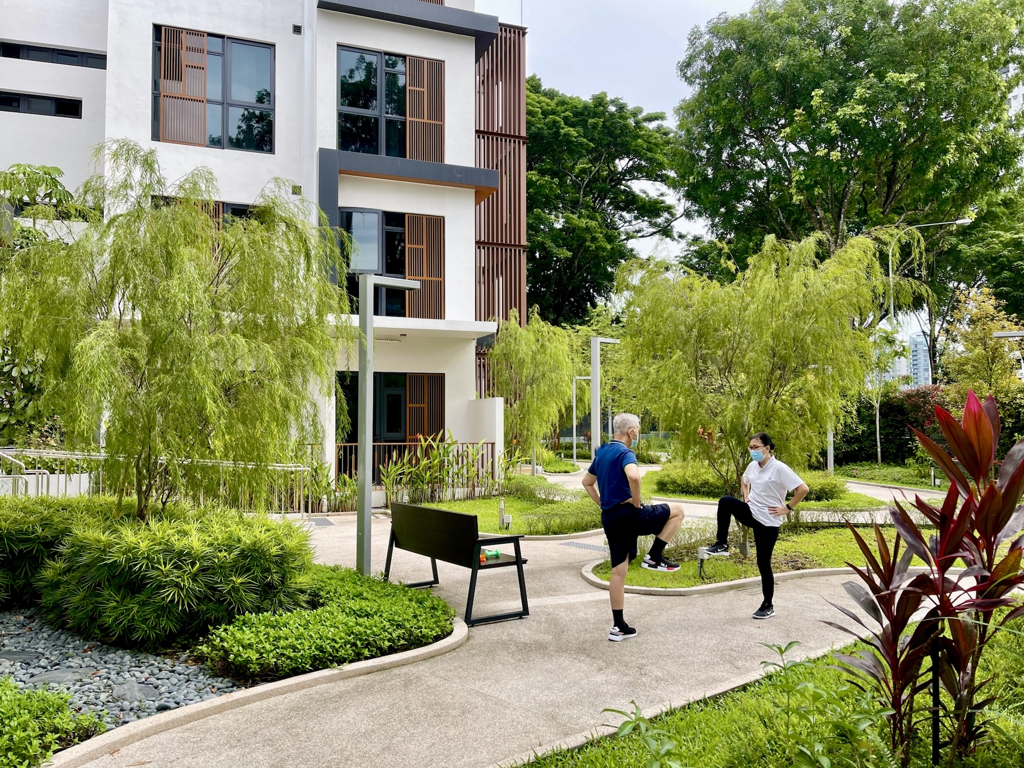 Cognitive Therapy Story