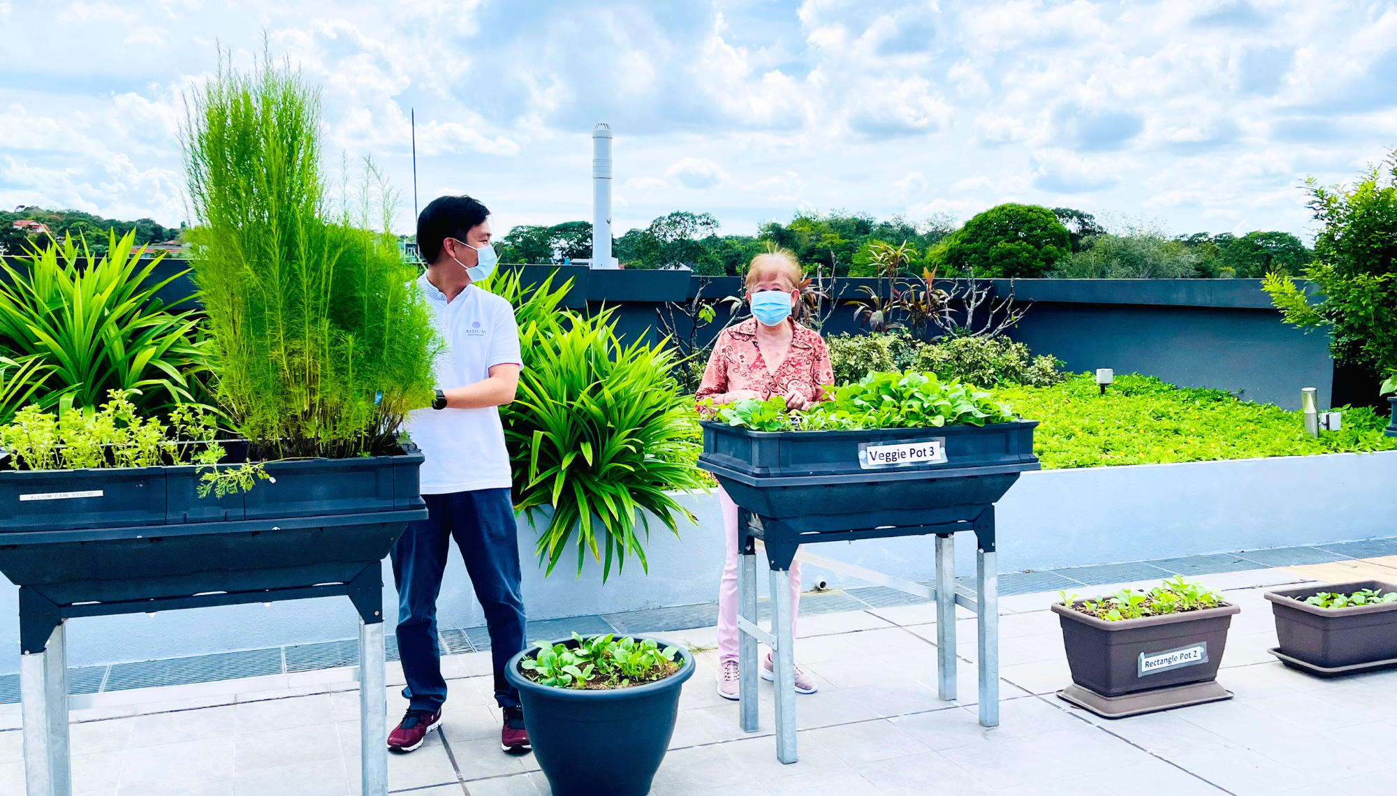 Allium Healthcare Lifestyle